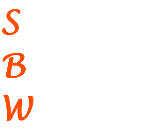 SKY BOYS WORLD